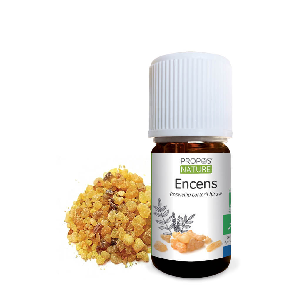 Boswellia serrata huile essentielle d'Encens Bio HECT