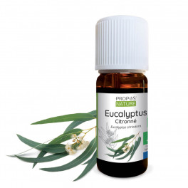 Huile essentielle eucalyptus citron BIO